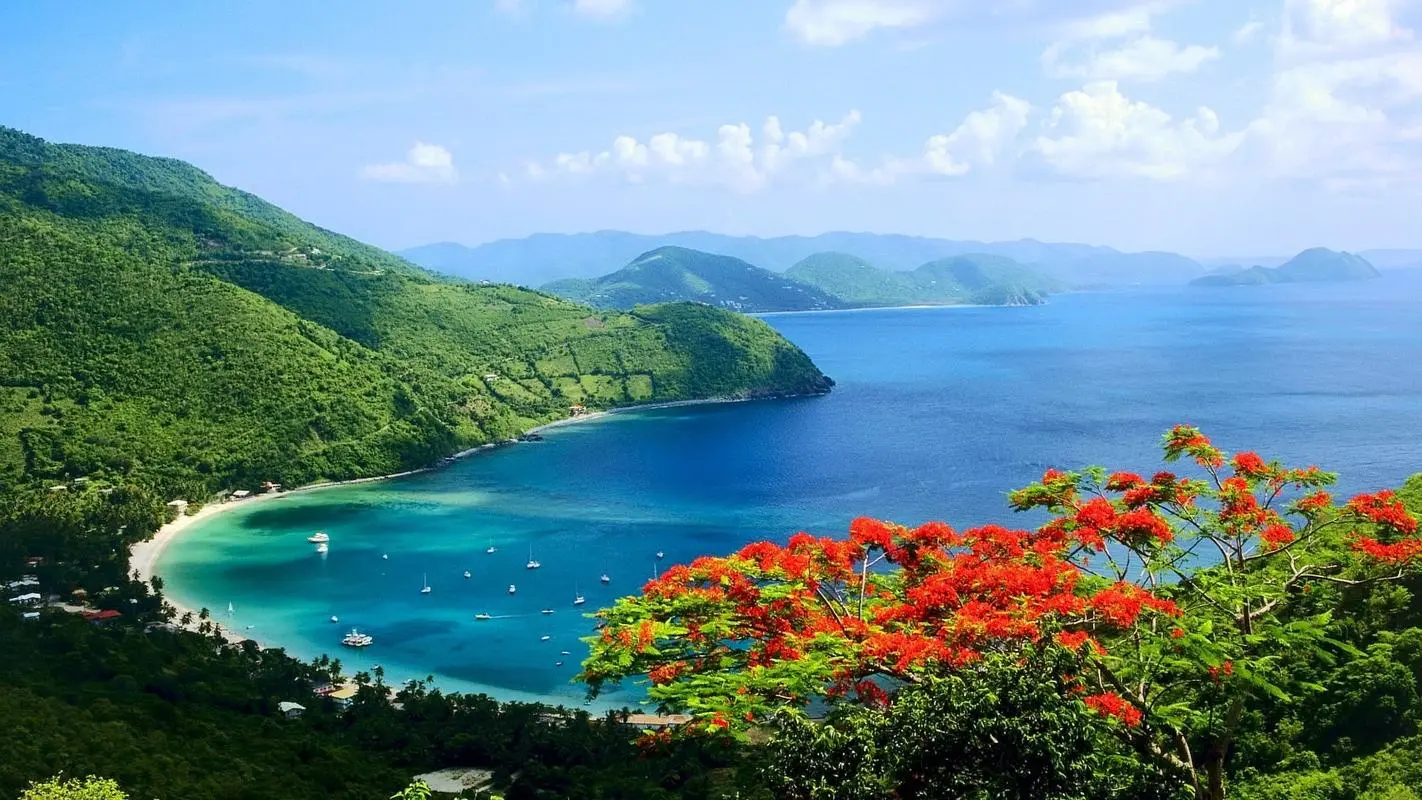 节能创意全自动
